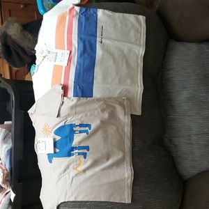 Zara size 4-5 toddler tees